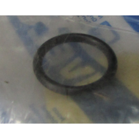 oring/anello 16x22x0,2 iveco 4899035