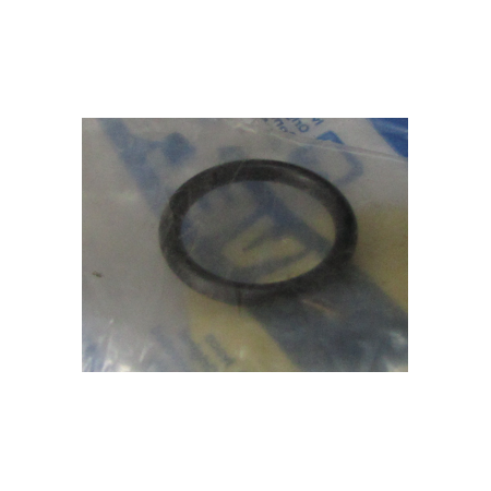 oring/anello 16x22x0,2 iveco 4899035