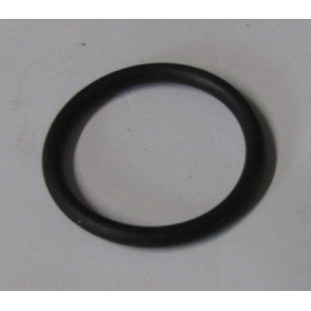 anello/o ring ganasce 315 iveco 9921062 2969032 130577