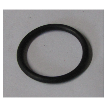 anello/o ring ganasce 315 iveco 9921062 2969032 130577
