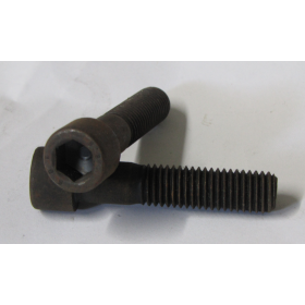 vite trasmissione testa tonda 12x55 iveco 8198423