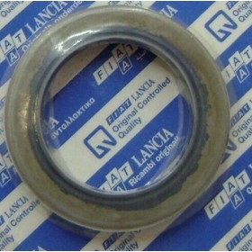 paraolio ruota posteriore ducato fiat 5996256