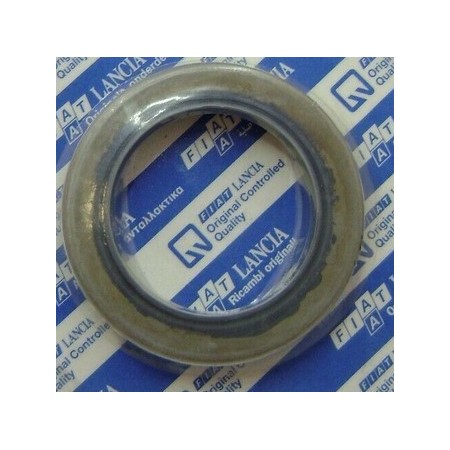 paraolio ruota posteriore ducato fiat 5996256