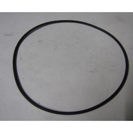 anello/o ring pompa acqua sp 2mm dm 120 iveco 14461680