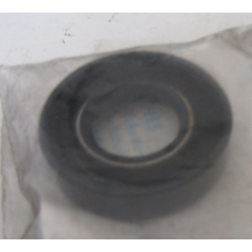 paraolio valvola porta bosch 1480281003