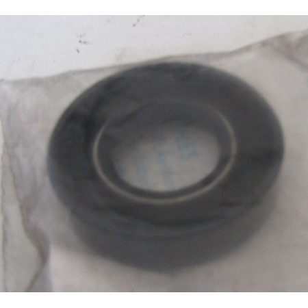 paraolio valvola porta bosch 1480281003