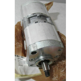 coppia pompa servosterzo solidali iveco 98429219