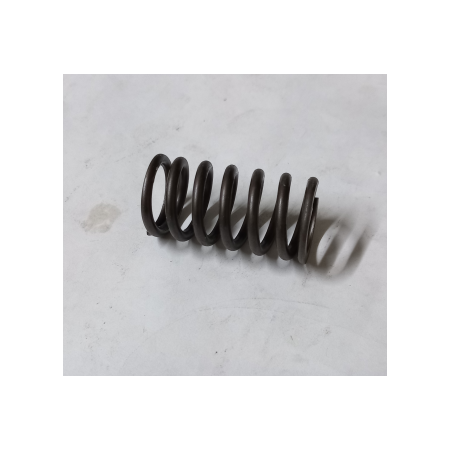 molla pompante pompa iniezione iveco 746375 79047098