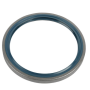 paraolio/anello di tenuta mozzo ruota 150x125x13 iveco 40001933