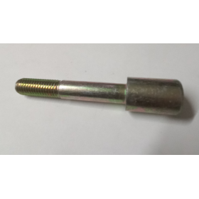 perno centrale balestra anteriore iveco 4829565