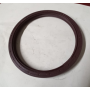 paraolio/anello di tenuta 100x118x10 iveco 98454057