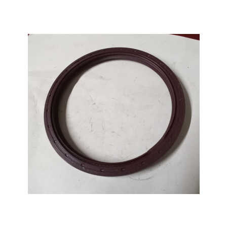 paraolio/anello di tenuta 100x118x10 iveco 98454057