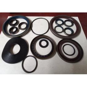 SERIE GUARNIZ. E PARAOLIO CAMBio zf 1250298906 iveco 93162083
