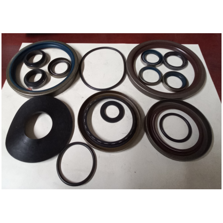 SERIE GUARNIZ. E PARAOLIO CAMBio zf 1250298906 iveco 93162083