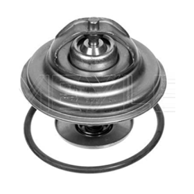 valvola termostatica 79° lema 430079 iveco 61688496 61586541 61689475
