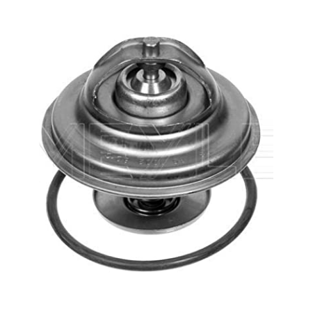 valvola termostatica 79° lema 430079 iveco 61688496 61586541 61689475