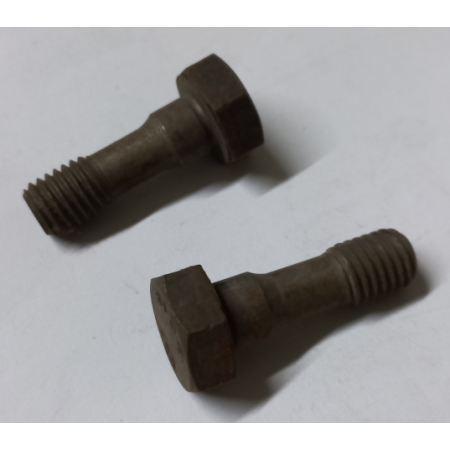 vite testa esagonale calibrate per cambio iveco 42492042