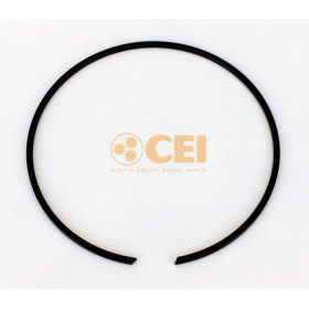 anello elastico per cuscinetto iveco 8120282 5000802461