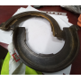 forcella innesto marce cambio iveco 42480574