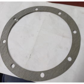 guarnizione piana motore iveco 4863494