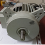 motore elettrico v400 kw 0,25/0.03 due velocità 700/1400  IP44 fir