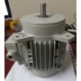 motore elettrico v400 kw 0,25/0.03 due velocità 700/1400  IP44 fir