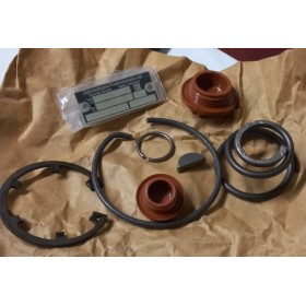 kit pompa servosterzo iveco 8124666
