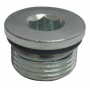 tappo filettato coppetta livello olio assale anteriore iveco 17917115