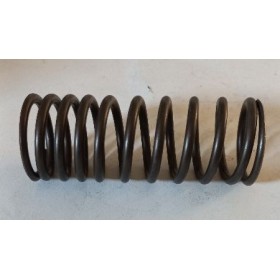 molla valvola punteria motore iveco 4624538