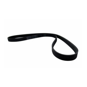 cinghia di comando poly-v epdm pet 6pk1215 iveco 504092335 5802102048 500042539