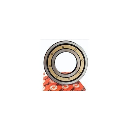 cuscinetto sing fila sfere scanalatura profonda 85x130x22  fag 6017 c4