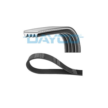 cinghia pompa acqua 4pk1025hd dayco iveco 504032641