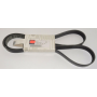 cinghia comando motore 8pk1920 mercedes a9069934196 man 51968200345