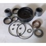 kit ricambi cilindro porte rototraslanti iveco 8124822