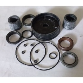 kit ricambi cilindro porte rototraslanti iveco 8124822