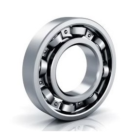 cuscinetto radiale a sfera motore 50x80x16 skf 6010 iveco 28042500