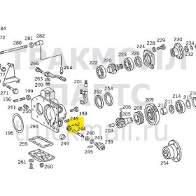 ingranaggio pignone tachigrafo zf 1250308058 mercedes A3662640030