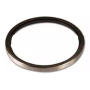 paraolio/anello di tenuta assale posteriore 160x140x13 iveco 4560719
