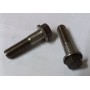 vite testa esagonale 10x40 collettore testa cilindri iveco fda0037
