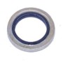 o ring ferro gomma pompa iniez Bosch 2410113006 iveco 42493097 9966715