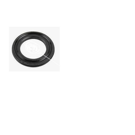 anello/o ring per cilindro a corsa lunga D 20,3 scania 1515867