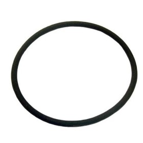 anello/o ring alloggio rallentatore scania 322119