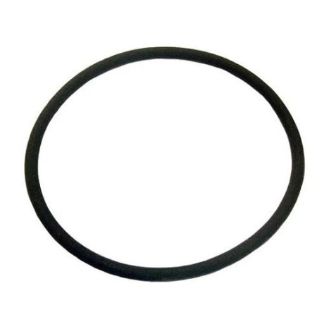 anello/o ring alloggio rallentatore scania 322119