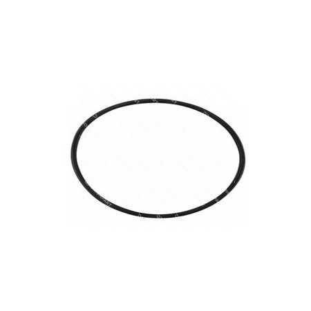 anello/o ring 71 x 12,60 pompa acqua iveco 17285281