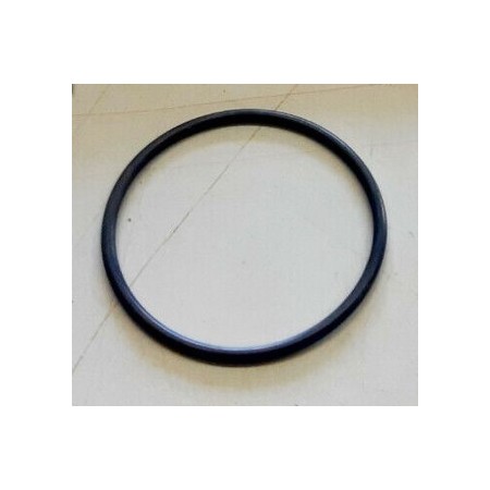 anello/o ring supporto scambiatore di calore iveco 14459481 17283981