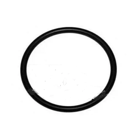 anello/o ring ingranaggio comando pompa iniez 3,53Χ47,22 iveco14464380