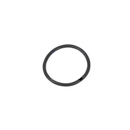 o ring/anello di tenuta pompa iniezione 21,95 x 1,78 mm iveco 14453780