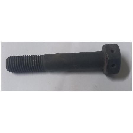 vite testa esagonale forata per cordina di sigillo aimm r10 10x1,5x55