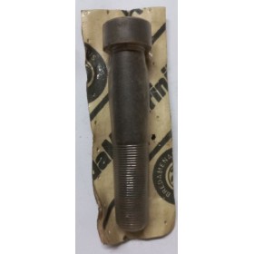 perno testa tonda con inserto 20x110 breda s5006202