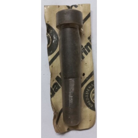 perno testa tonda con inserto 20x110 breda s5006202